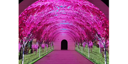 led软模组