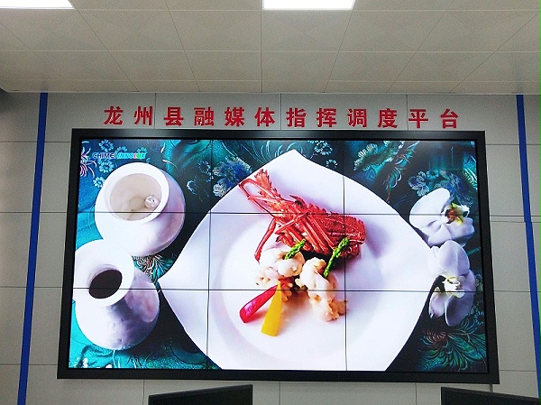 龙舟融媒体1