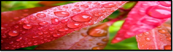 resource/images/0199199975664a92bfbe898c7cb0a8f8_22.png